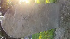 0809201906[1].webp
