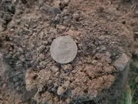 20200908_192959.webp