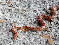 20170509_194432.webp