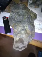 20194523124545.webp
