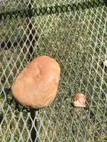 ImageUploadedByTreasureNet.com1600623752.614219.webp ImageUploadedByTreasureNet.com1600623752.614219.webp