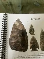ImageUploadedByTreasureNet.com1598802026.390194.webp