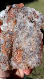 20201026_150439.webp