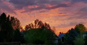 20200909_073436.webp