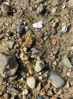 ImageUploadedByTreasureNet.com1603756299.708879.webp