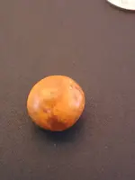 20200830_163611.webp