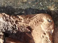 DSCF4006.webp