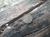 20201108_150253.webp