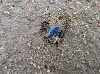 0907201247-1.webp