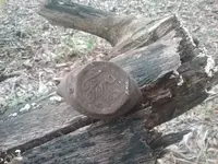 20201108_150128.webp