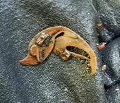 20200822_135348-crop.webp