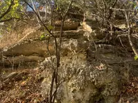 ImageUploadedByTreasureNet.com1602798273.240364.webp