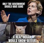 elizabeth-warren-only-government-should-have-guns-real-indian-would-know-better.jpg