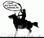 cowboysdivider (3).gif