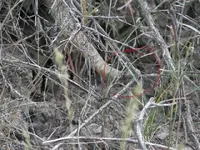 indexCAB7J6JO.webp
