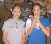 bird.webp