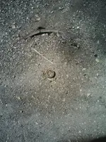 0518081512[1].webp
