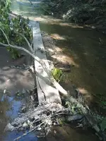 0518081535[1].webp