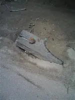 0518081514[1].webp