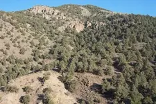 South of sugarloaf s.webp