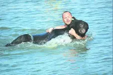 saves bear.webp