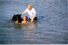 saves bear 2.webp