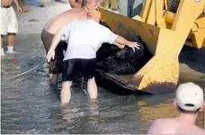 saves bear 3.webp