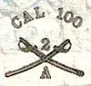 cal100.webp