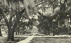 chalmette.webp chalmette.webp