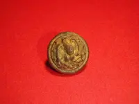 Gilt Military Button Pumpkin Patch 2008.webp