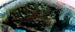 Horst.webp