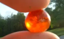 Dscf0379.webp