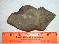 stonetool1.webp
