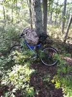 bike2.webp