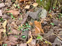 20201027_101435.webp