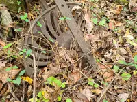 20201027_101429.webp