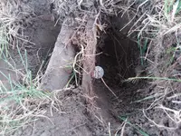 20200926_150012.webp 20200926_150012.webp