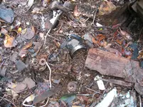 IMG_1473.webp IMG_1473.webp