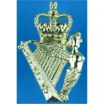 ulster-defence-regiment-fr-with-queen-elizabeths-crown-anodised-staybrite-collar-badge.webp