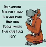 526C5069-E768-4E58-AFE8-9C31AB5A98A9.webp