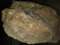20201108_202702.webp