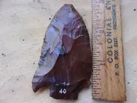 102_0986.webp