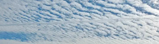 DSCN0661_InPixio.webp