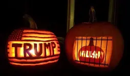 T pumkin.webp