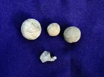 DSCN0810.webp