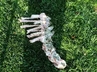 K1024_DSCN0806.webp
