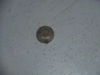 DSCN9682.webp