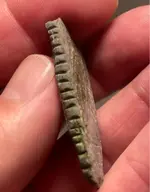ImageUploadedByTreasureNet.com1607110013.982176.webp