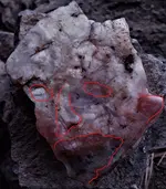 ROCKFACEMAYAredhead.webp