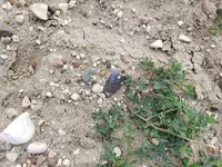 20200823_112439.webp